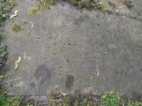 image of grave number 568985